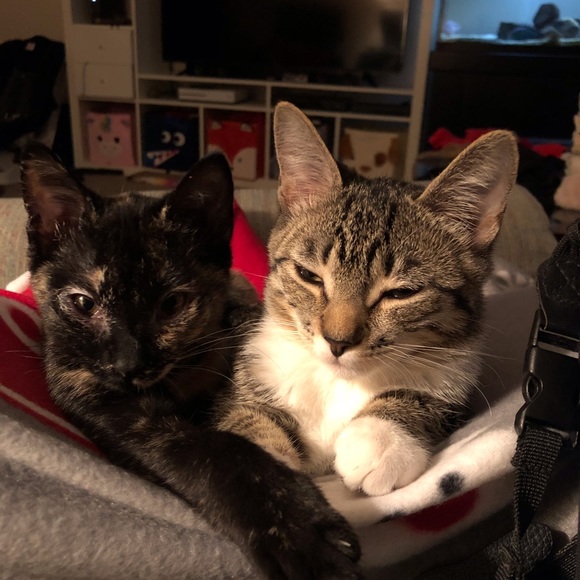 Meet your Posher, Kristin - Picture 4 of 8